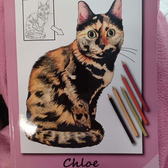 Cat Coloring Book - Picture 2 of 6